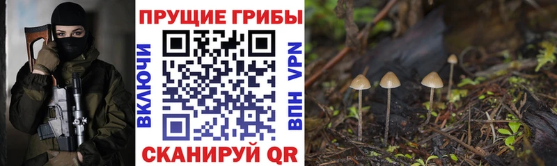 наркошоп  Чекалин  Галлюциногенные грибы мицелий 